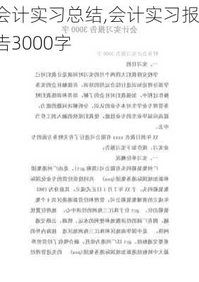 会计实习总结,会计实习报告3000字