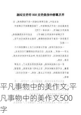 平凡事物中的美作文,平凡事物中的美作文500字