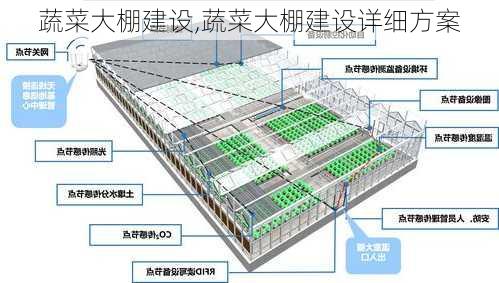 蔬菜大棚建设,蔬菜大棚建设详细方案