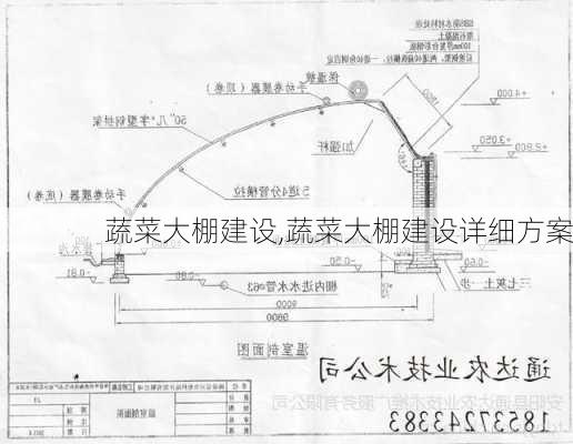 蔬菜大棚建设,蔬菜大棚建设详细方案