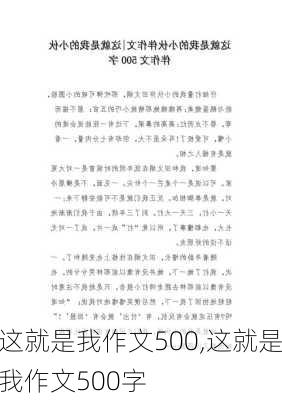 这就是我作文500,这就是我作文500字