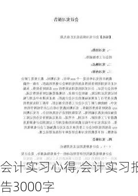 会计实习心得,会计实习报告3000字