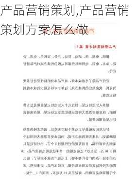 产品营销策划,产品营销策划方案怎么做