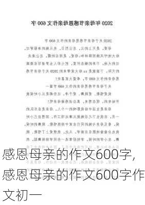 感恩母亲的作文600字,感恩母亲的作文600字作文初一