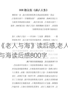 《老人与海》读后感,老人与海读后感800字