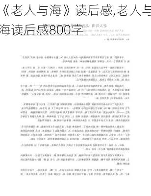 《老人与海》读后感,老人与海读后感800字