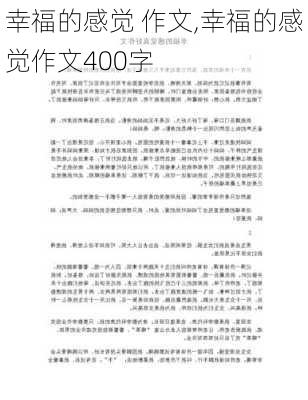 幸福的感觉 作文,幸福的感觉作文400字