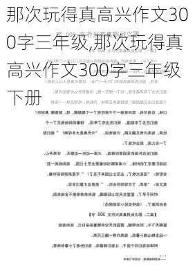 那次玩得真高兴作文300字三年级,那次玩得真高兴作文300字三年级下册