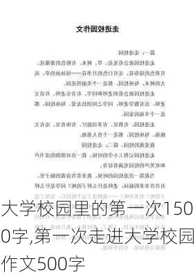 大学校园里的第一次1500字,第一次走进大学校园作文500字