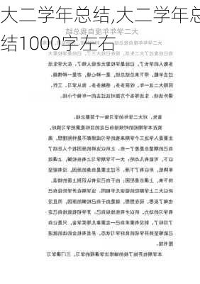 大二学年总结,大二学年总结1000字左右