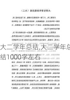 大二学年总结,大二学年总结1000字左右