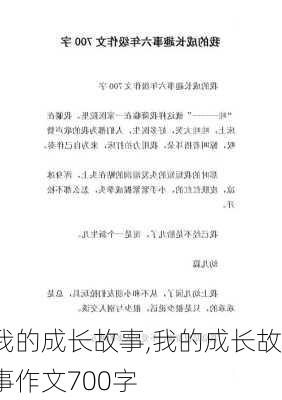 我的成长故事,我的成长故事作文700字