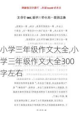 小学三年级作文大全,小学三年级作文大全300字左右