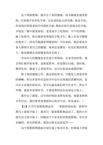 寒假小结,寒假小结300字