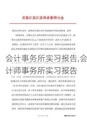 会计事务所实习报告,会计师事务所实习报告