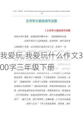 我爱玩,我爱玩什么作文300字三年级下册