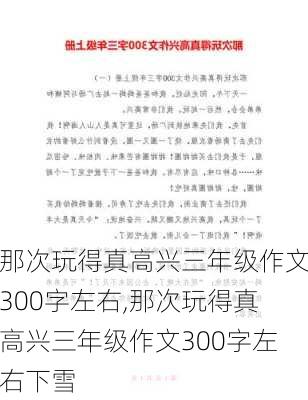 那次玩得真高兴三年级作文300字左右,那次玩得真高兴三年级作文300字左右下雪