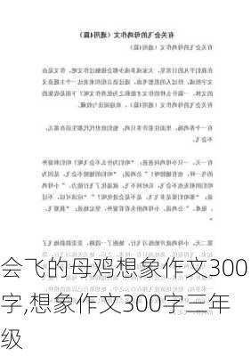 会飞的母鸡想象作文300字,想象作文300字三年级