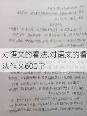 对语文的看法,对语文的看法作文600字