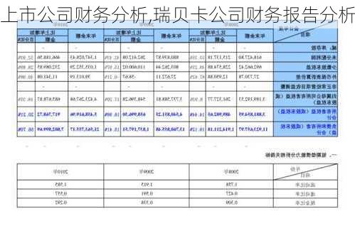 上市公司财务分析,瑞贝卡公司财务报告分析