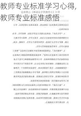 教师专业标准学习心得,教师专业标准感悟