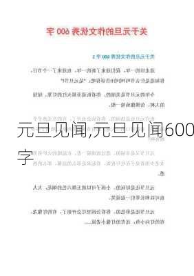 元旦见闻,元旦见闻600字