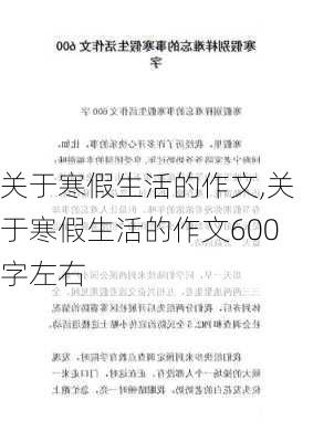 关于寒假生活的作文,关于寒假生活的作文600字左右