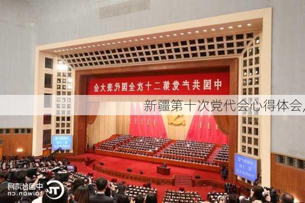 新疆第十次党代会心得体会,