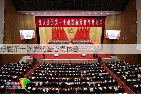 新疆第十次党代会心得体会,