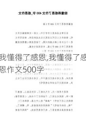 我懂得了感恩,我懂得了感恩作文500字