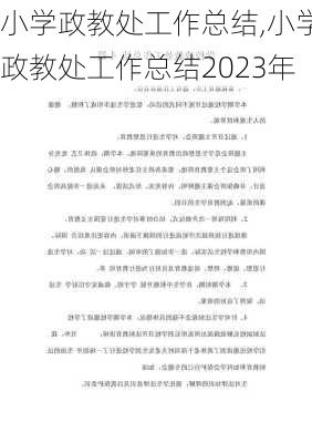 小学政教处工作总结,小学政教处工作总结2023年