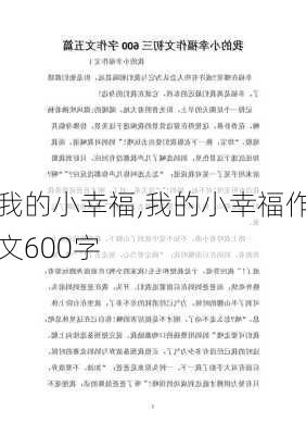 我的小幸福,我的小幸福作文600字