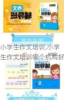 小学生作文培训,小学生作文培训哪个机构好