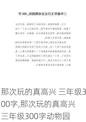 那次玩的真高兴 三年级300字,那次玩的真高兴 三年级300字动物园