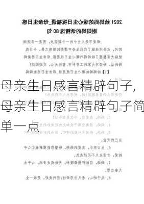 母亲生日感言精辟句子,母亲生日感言精辟句子简单一点