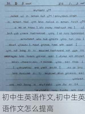 初中生英语作文,初中生英语作文怎么提高