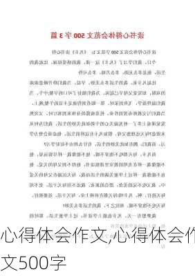 心得体会作文,心得体会作文500字