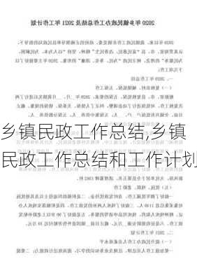 乡镇民政工作总结,乡镇民政工作总结和工作计划