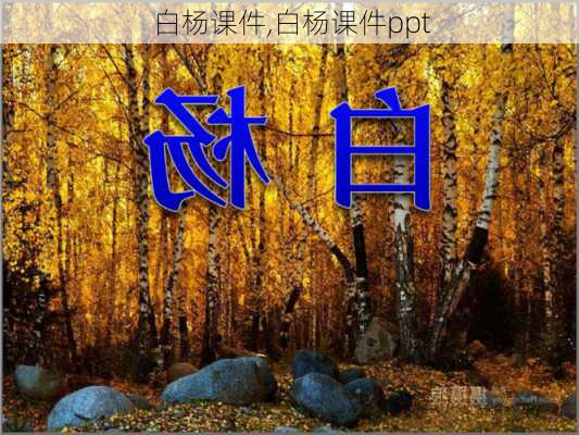 白杨课件,白杨课件ppt