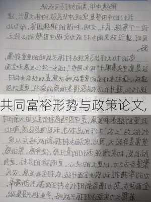 共同富裕形势与政策论文,