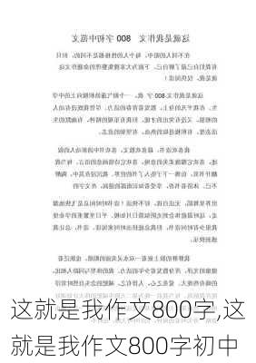 这就是我作文800字,这就是我作文800字初中