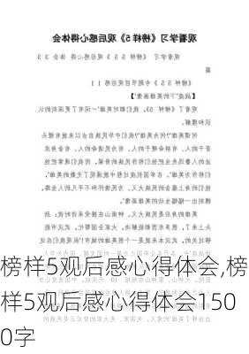 榜样5观后感心得体会,榜样5观后感心得体会1500字