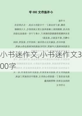 小书迷作文,小书迷作文300字