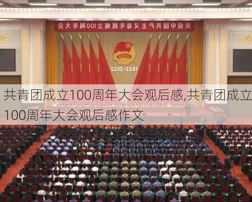 共青团成立100周年大会观后感,共青团成立100周年大会观后感作文