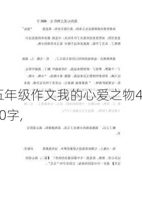 五年级作文我的心爱之物400字,