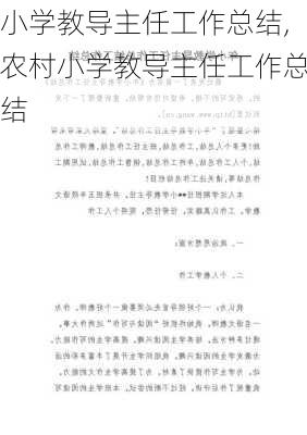 小学教导主任工作总结,农村小学教导主任工作总结