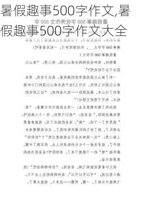 暑假趣事500字作文,暑假趣事500字作文大全