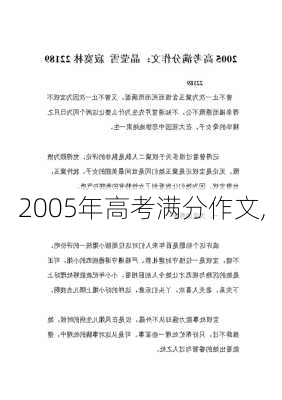 2005年高考满分作文,