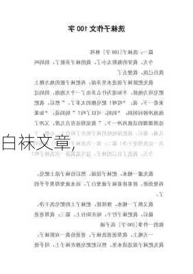 白袜文章,