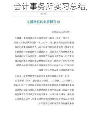 会计事务所实习总结,